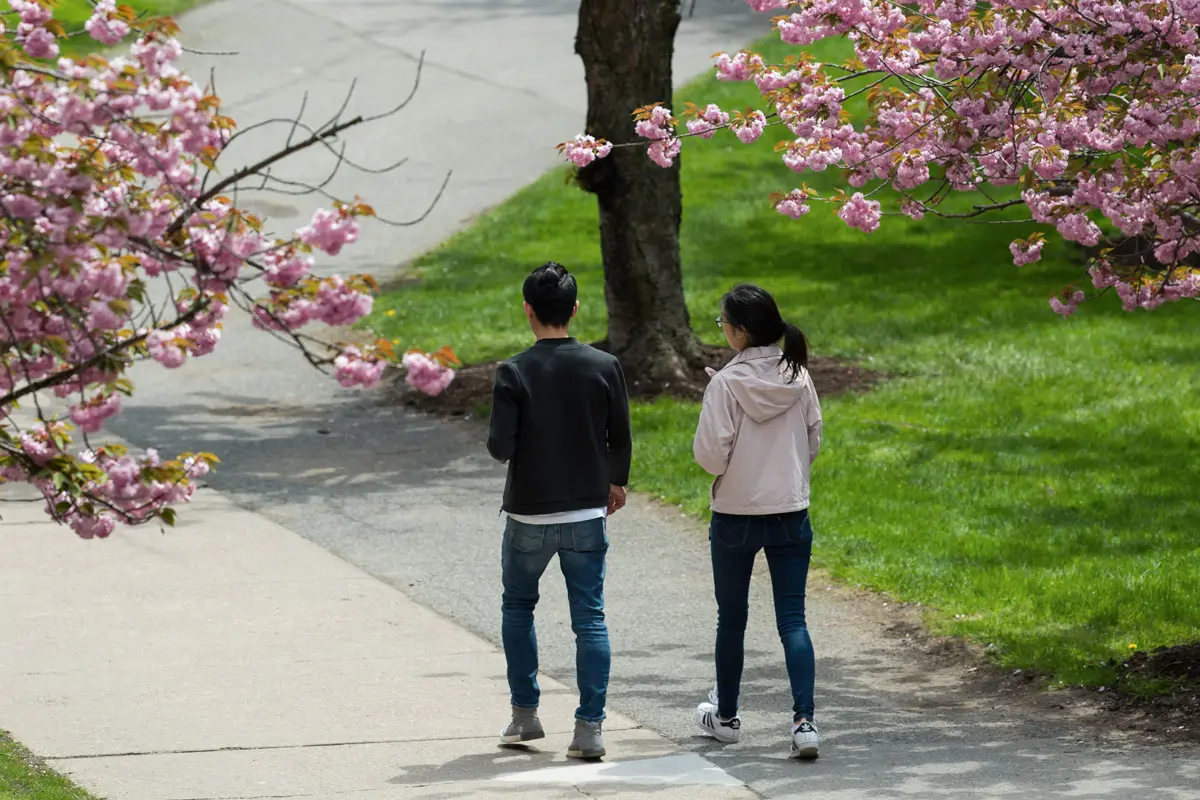 在澳门威尼斯人网上赌场，学生们步行去上课.